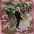 Andrea Beisenherz Burgess's profile image