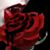Trisha Jones's profile image