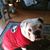 Gail Crowe's profile image