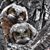 Lynne Grob's profile image