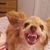 Kristie Lea Winebarger's profile image