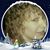 Michelle Case Oneil's profile image