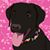 Mari Nall's profile image