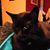 Leigh Anne Price Gatewood's profile image