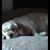 Judy Lewis's profile image