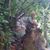 Greg S. Roberson's profile image