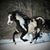 Robin Robinette Rankin's profile image