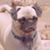 Diana Lunn-Bird's profile image