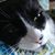Cindy Bertino's profile image