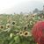 Fauziya A Ansari's profile image