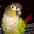 Xenia Henriquez Linero's profile image