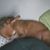 Jennifer Stidham's profile image