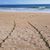Wendy Hurtubise's profile image
