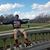 Anthony Rebello's profile image