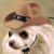 Kristel Hayes's profile image