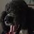 Mary Edwards's profile image