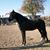 Sandi Olson's profile image
