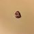 Jason Stephan's profile image