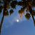 Ron Leybovich's profile image