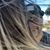 DavidnChristy Benavides's profile image