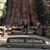 Linda Becher's profile image