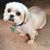 Christine Terry's profile image