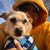 Dennis Martin Brody's profile image