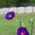 Judy Sigwalt's profile image