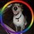 Easton Young's profile image