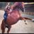 Cassidy Ryan's profile image