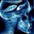 Dan Shephard's profile image