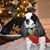 Debe Hale's profile image