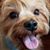 Teri Allen's profile image