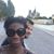 Felette Thompson-Branch's profile image