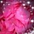 Marietta Ferrigno Harkins's profile image