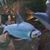 Tim Liford's profile image