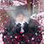 Michelle Roseth's profile image