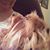 Margie F Gillespie's profile image