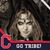 Diane Lassan's profile image