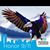 Patty Barilla Thompson's profile image