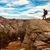 Gregory L. Yanish's profile image