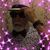 Rodolfo Rivas's profile image