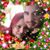Donna La Chicana Balderas's profile image
