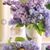 Jo Diffenderfer's profile image