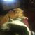 Andrea Shipley's profile image