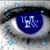 Lynn Sparks's profile image