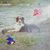 Kaitlynn Landes's profile image