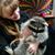 Kristen Tornquist Hood's profile image