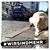 Max Von Sankt Pauli's profile image