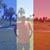 Bernard Revak's profile image